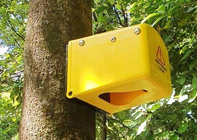 A yellow plastic box with a hold in the bottom of it attached to a thing tree.